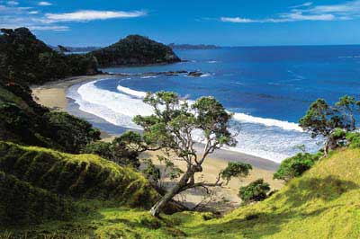 2018 Seaweek Sandy Beach clean up