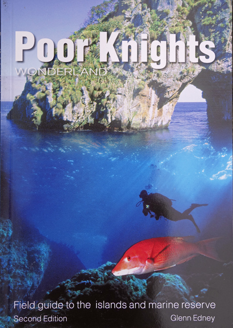 poor-knights-cover-small