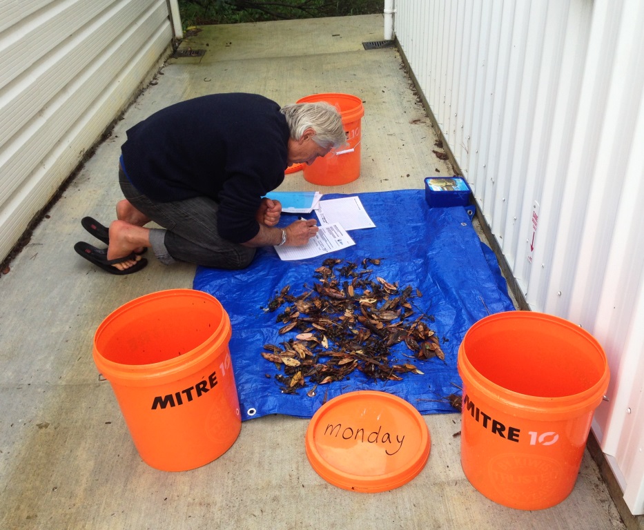 Tutukaka Marina SeaBin 3A small