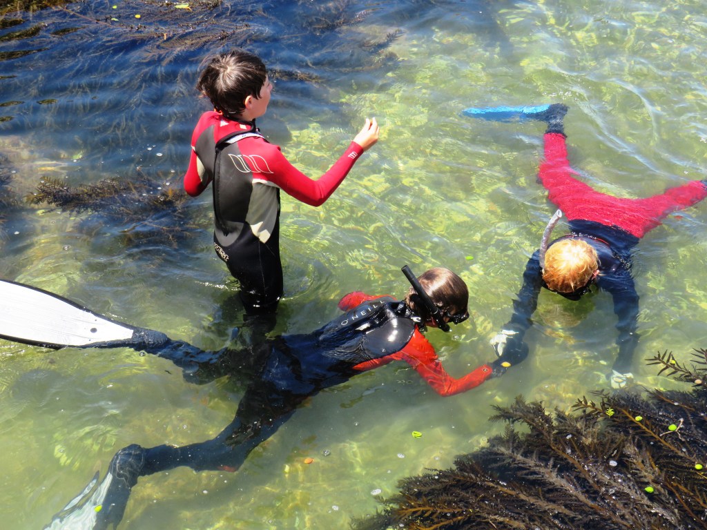 Children snorkeling
